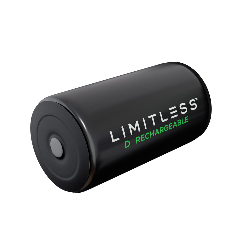 Rechargeable D Batteries 4-Pack with Charger A50417