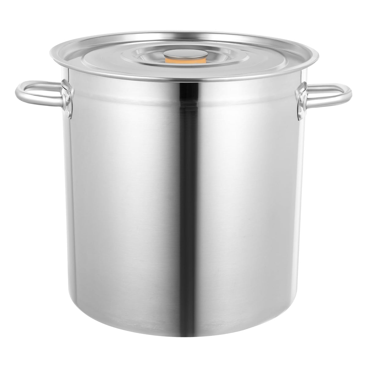 35L Stainless Steel Stockpot with Lid W751018