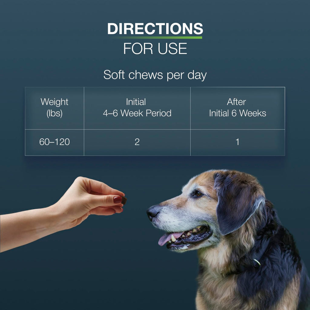Large Dogs Soft Chews 84ct Joint Supplement S378696