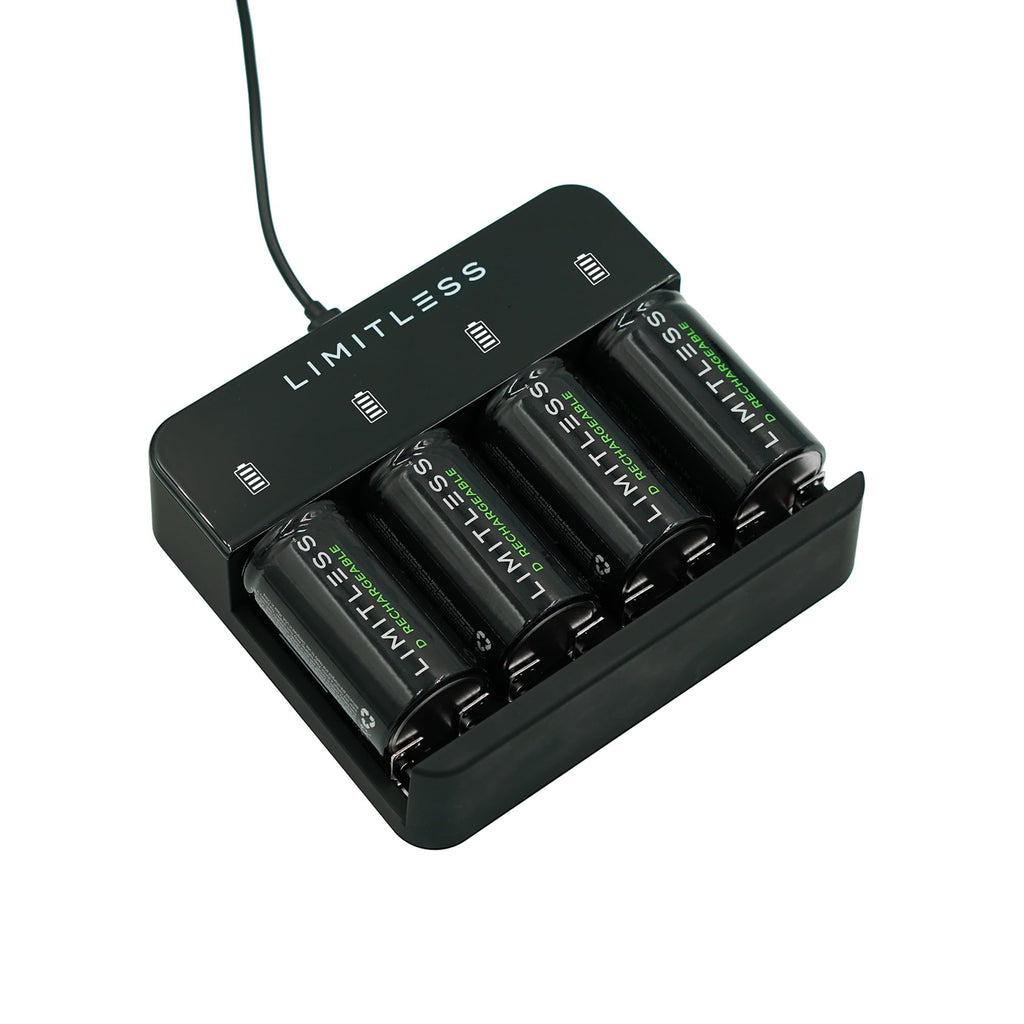 Rechargeable D Batteries 4-Pack with Charger A50417