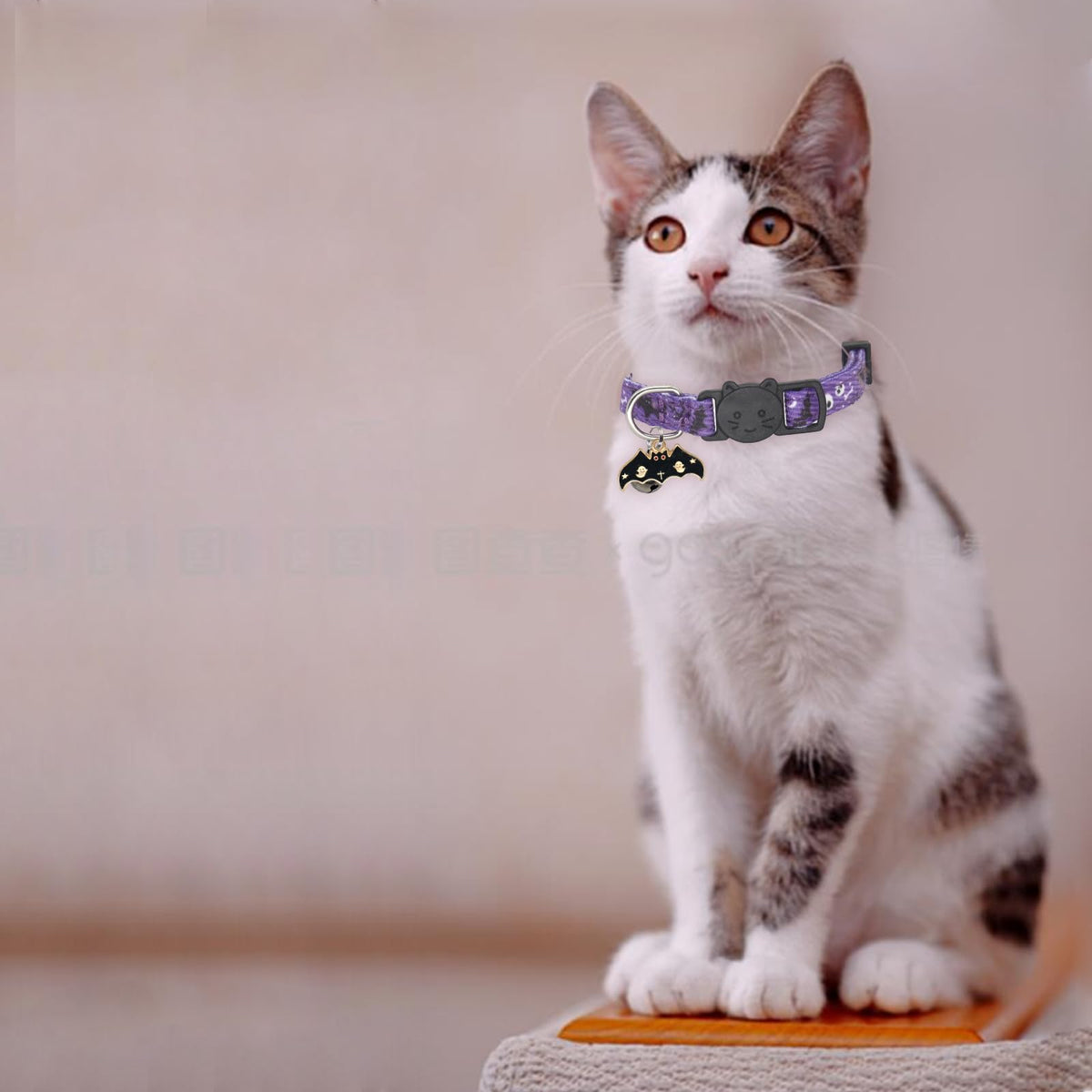 Cotton 2 Pack Cat Collar with Bells P89545