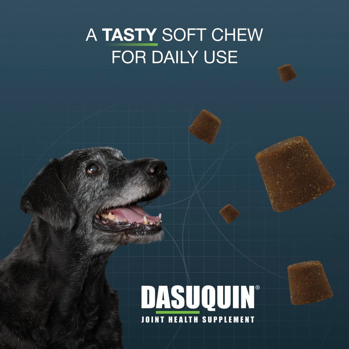 Large Dogs Soft Chews 84ct Joint Supplement S378696