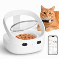 Wet & Dry Food Cat Feeder O471251