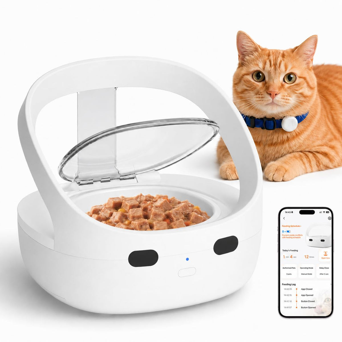 Wet & Dry Food Cat Feeder O471251