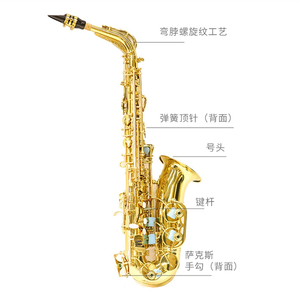 E Flat Alto Saxophone T22479