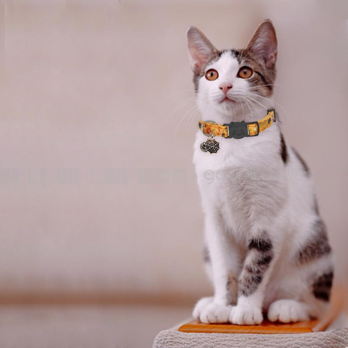 Cotton 2 Pack Cat Collar with Bells P89545