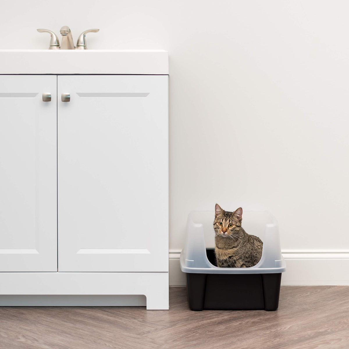 High Sided Cat Litter Box with Scatter Shield, Black J4865