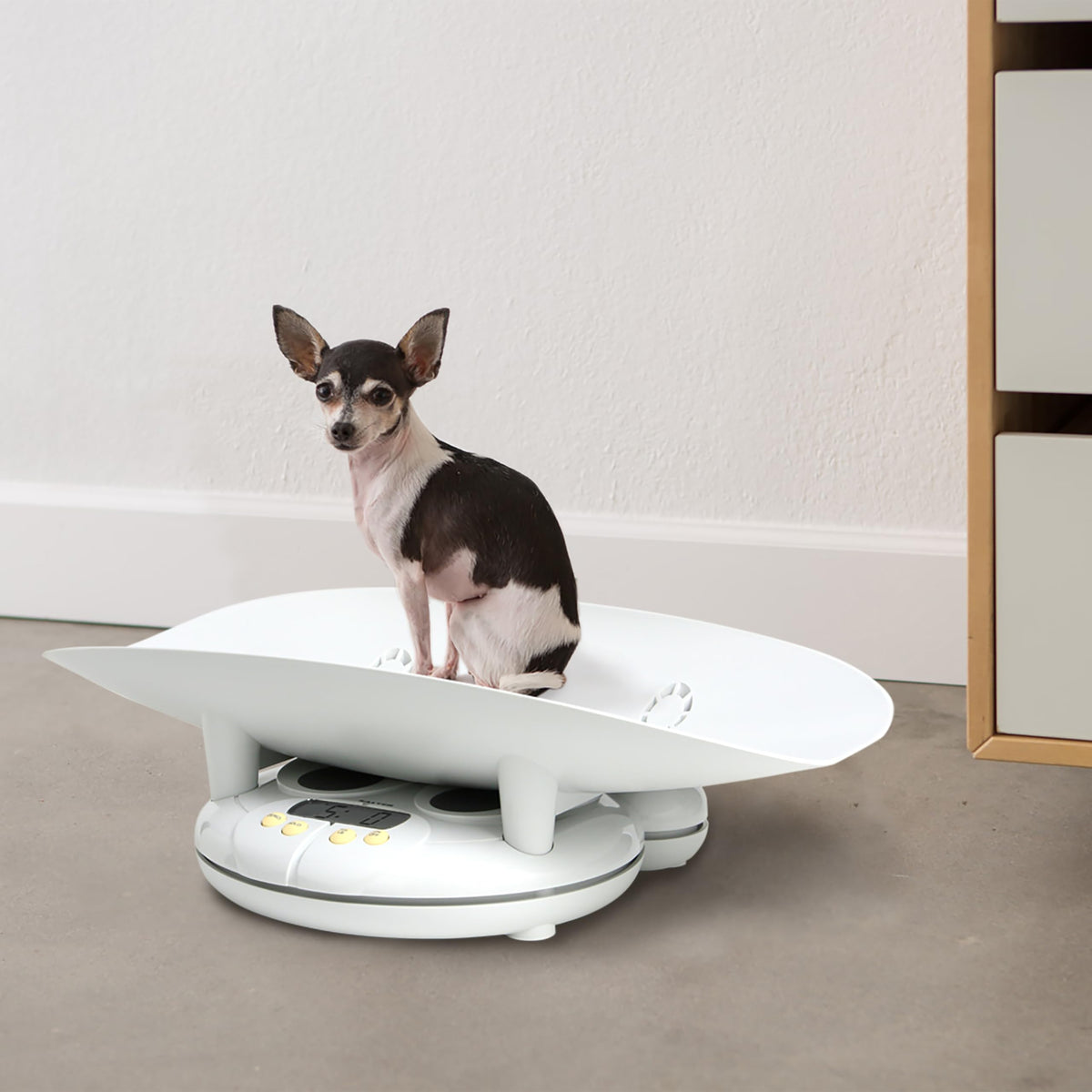 Digital Baby and Toddler Scale with Removable Tray U407229