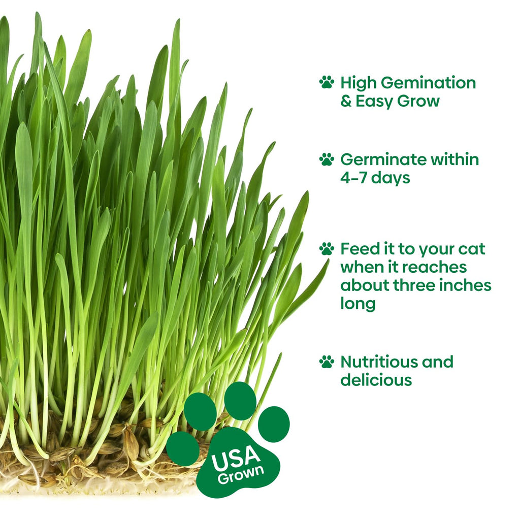 3 Pack Organic Non-GMO Cat Grass Growing Kit P985