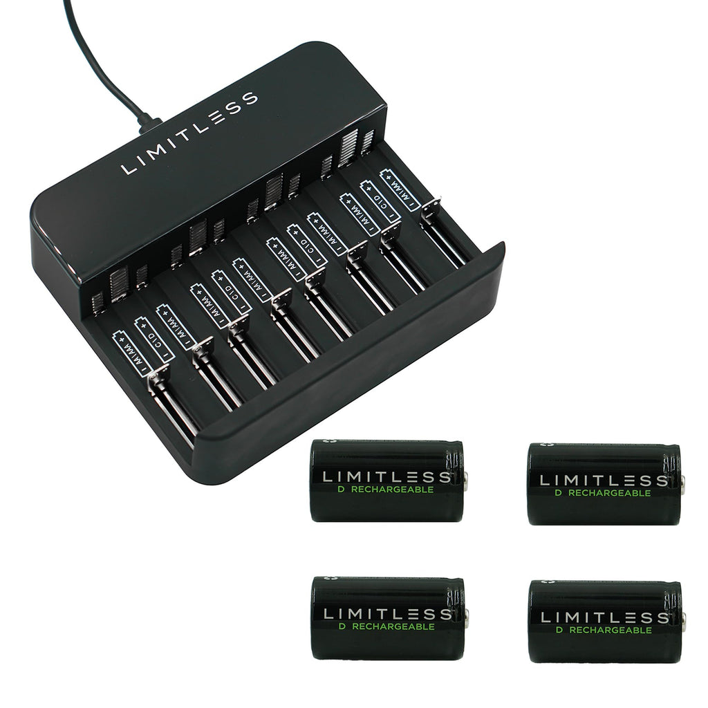 Rechargeable D Batteries 4-Pack with Charger A50417