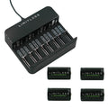 Rechargeable D Batteries 4-Pack with Charger A50417