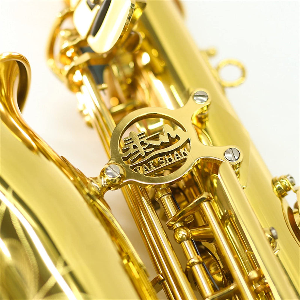 E Flat Alto Saxophone T22479