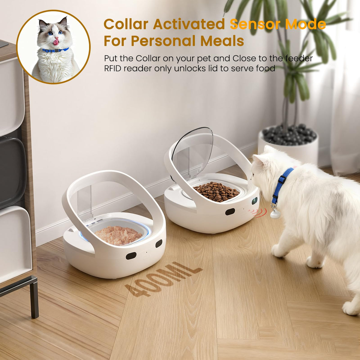 Wet & Dry Food Cat Feeder O471251