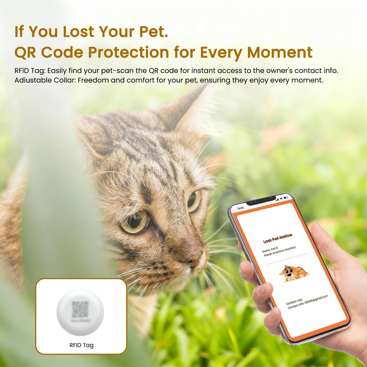 Wet & Dry Food Cat Feeder O471251