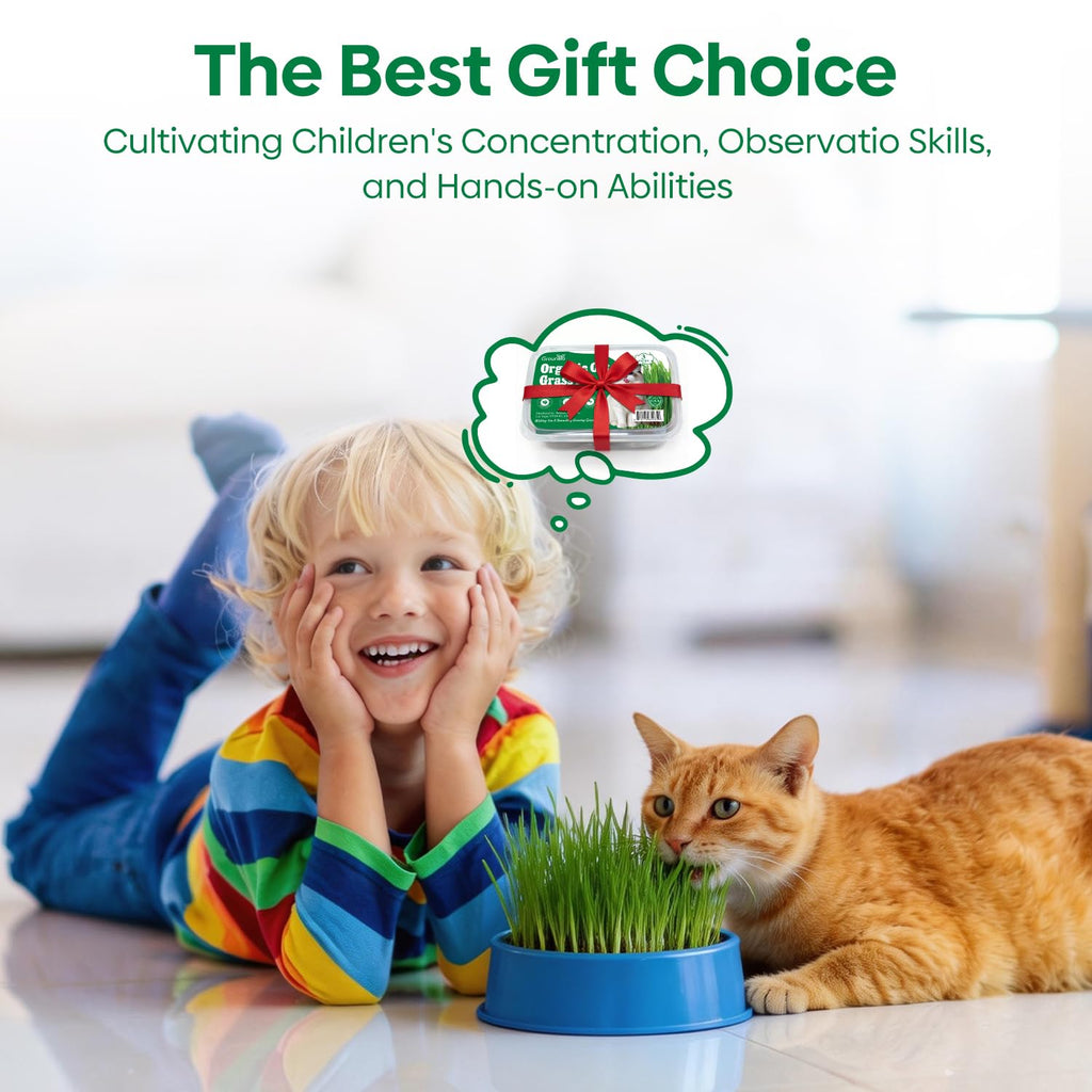 3 Pack Organic Non-GMO Cat Grass Growing Kit P985