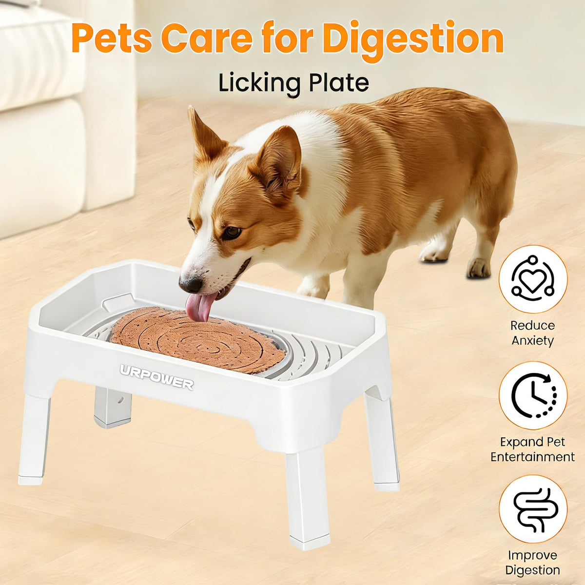 Elevated Dog Bowls L403