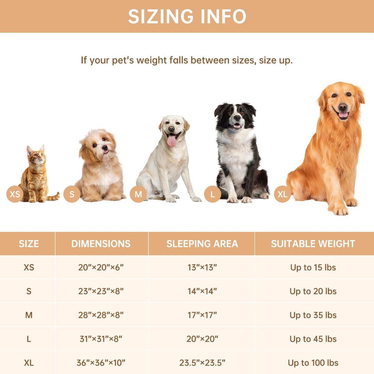 Small Round Dog Bed L36201