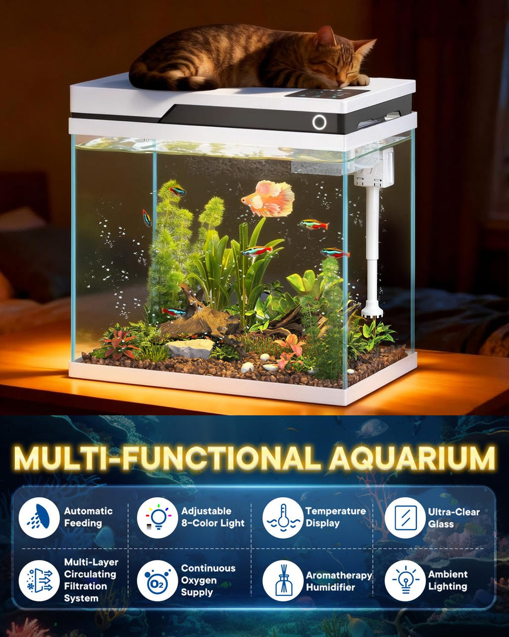 7 Gallon Fish Tank P73671