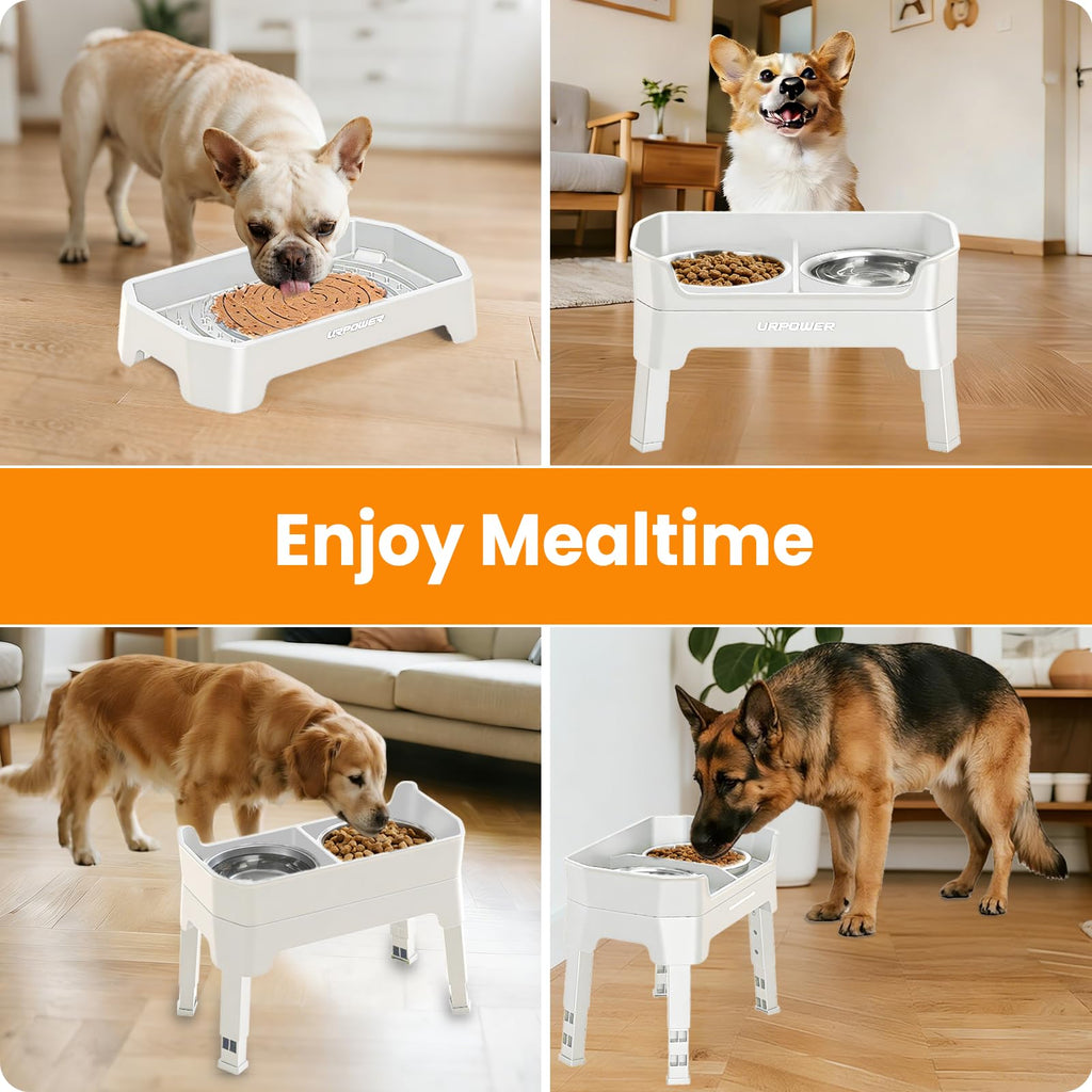 Elevated Dog Bowls L403