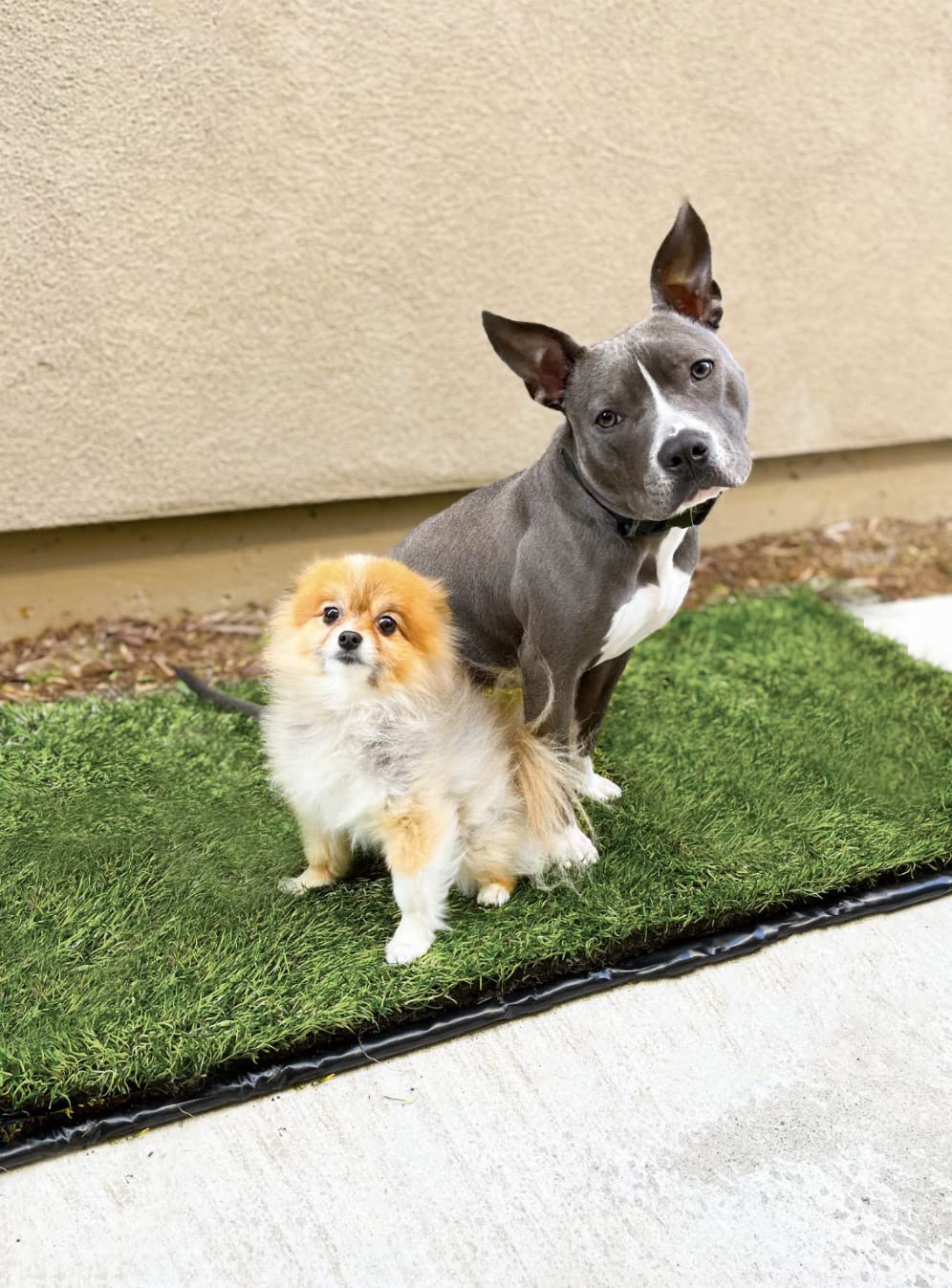 Washable Reusable Leakproof Dog Pee Pad 26.75 in x 51.5 in G51861
