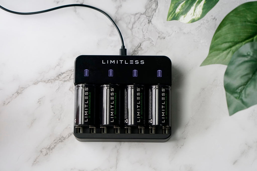 Rechargeable D Batteries 4-Pack with Charger A50417