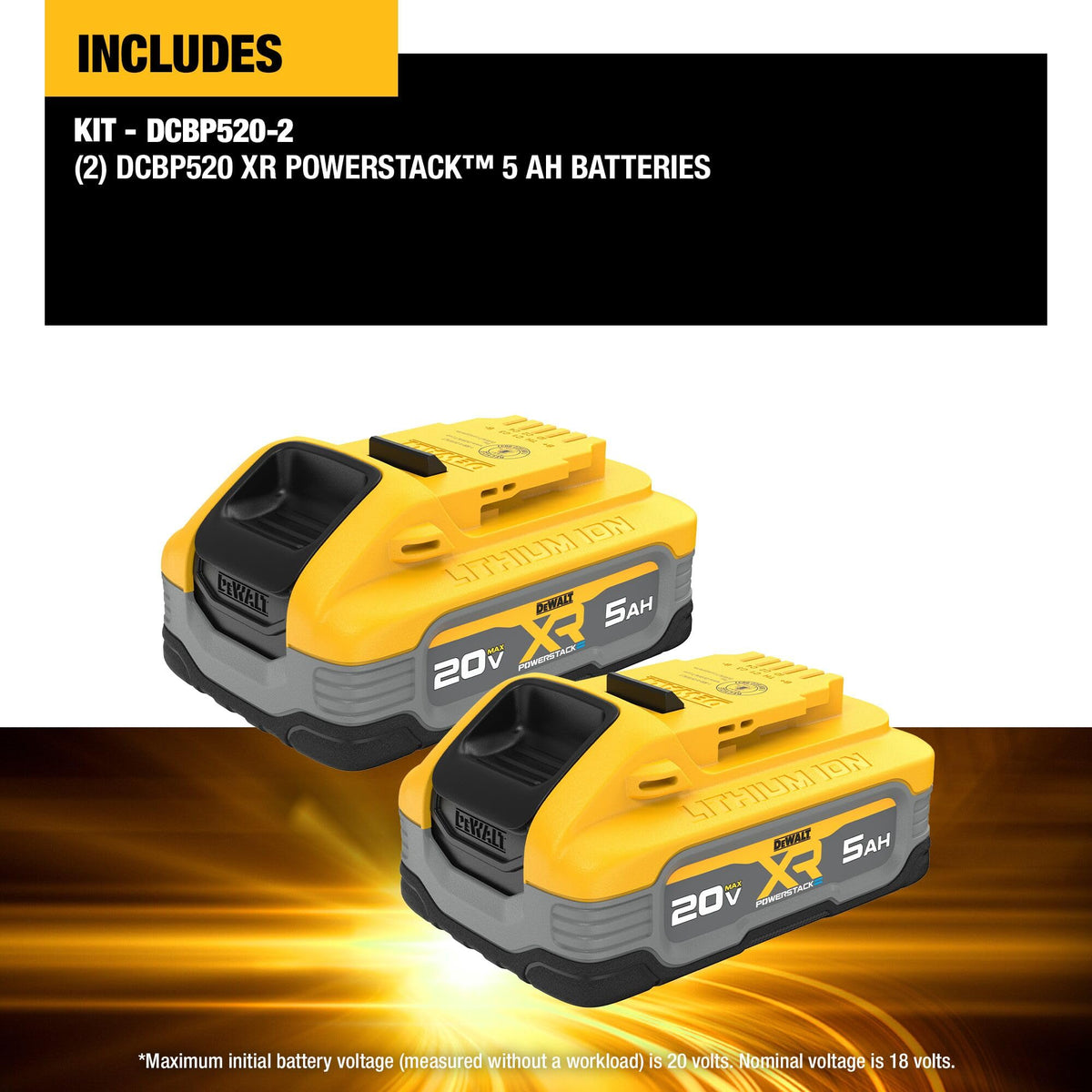 20V MAX 5Ah Lithium Ion Battery 2-Pack I970
