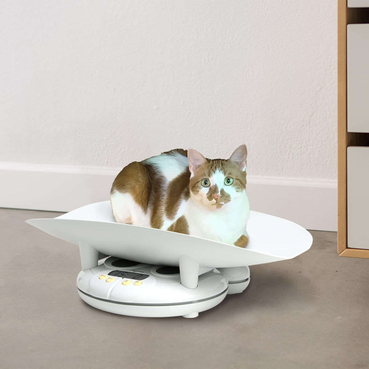 Digital Baby and Toddler Scale with Removable Tray U407229
