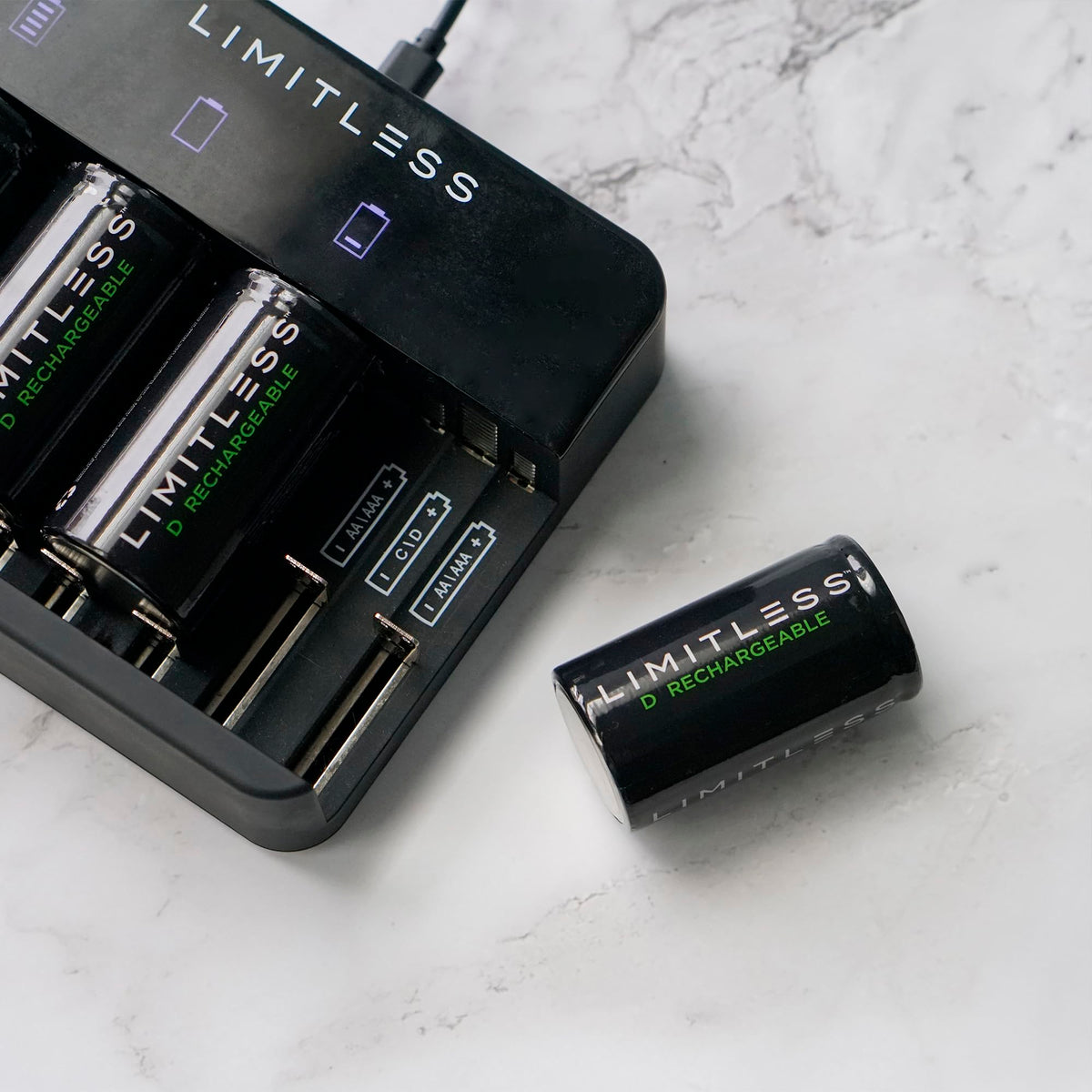 Rechargeable D Batteries 4-Pack with Charger A50417