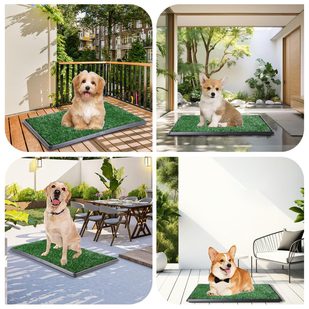 Dog Grass Pad with Tray 16x20in Z70811