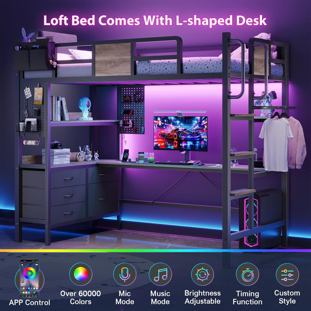 Twin Loft Bed with Desk and 5 Storage Drawers R916889
