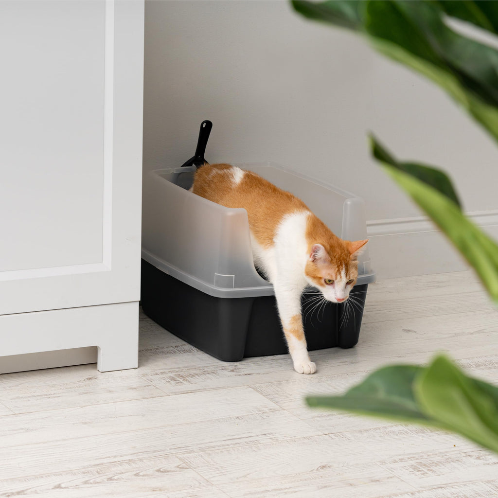 High Sided Cat Litter Box with Scatter Shield, Black J4865