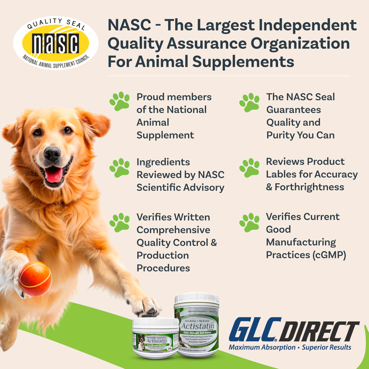 Large Dog Soft Chews, 120ct Joint Supplement D750425