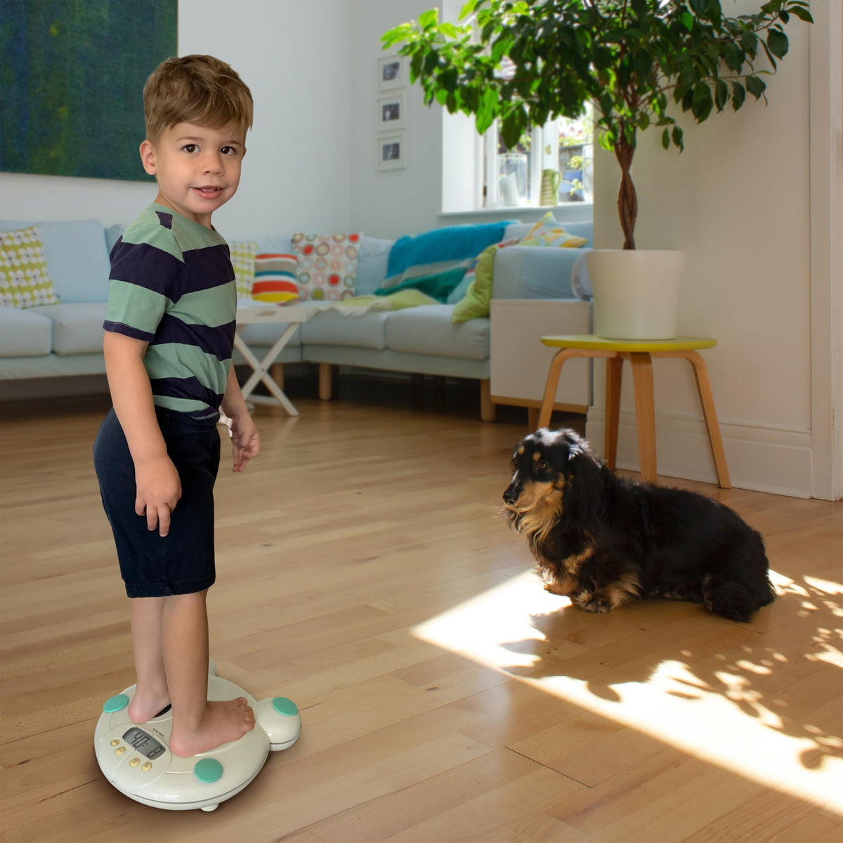 Digital Baby and Toddler Scale with Removable Tray U407229