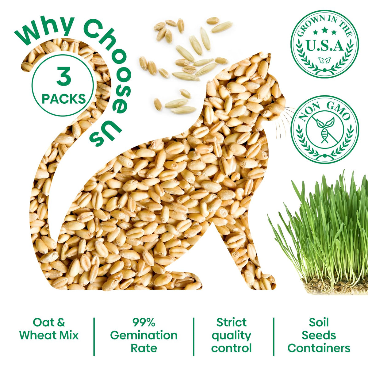 3 Pack Organic Non-GMO Cat Grass Growing Kit P985