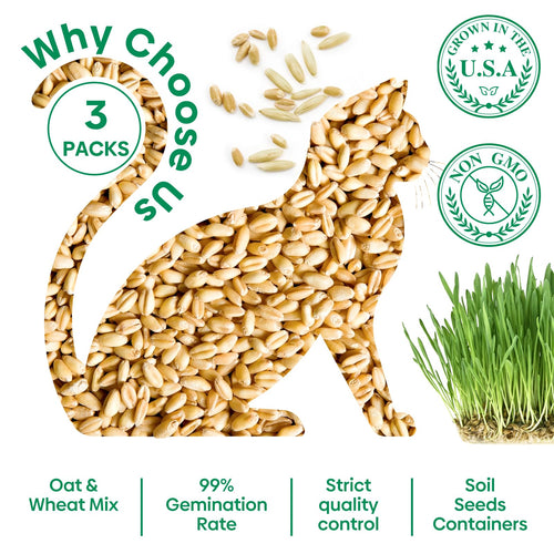 3 Pack Organic Non-GMO Cat Grass Growing Kit P985