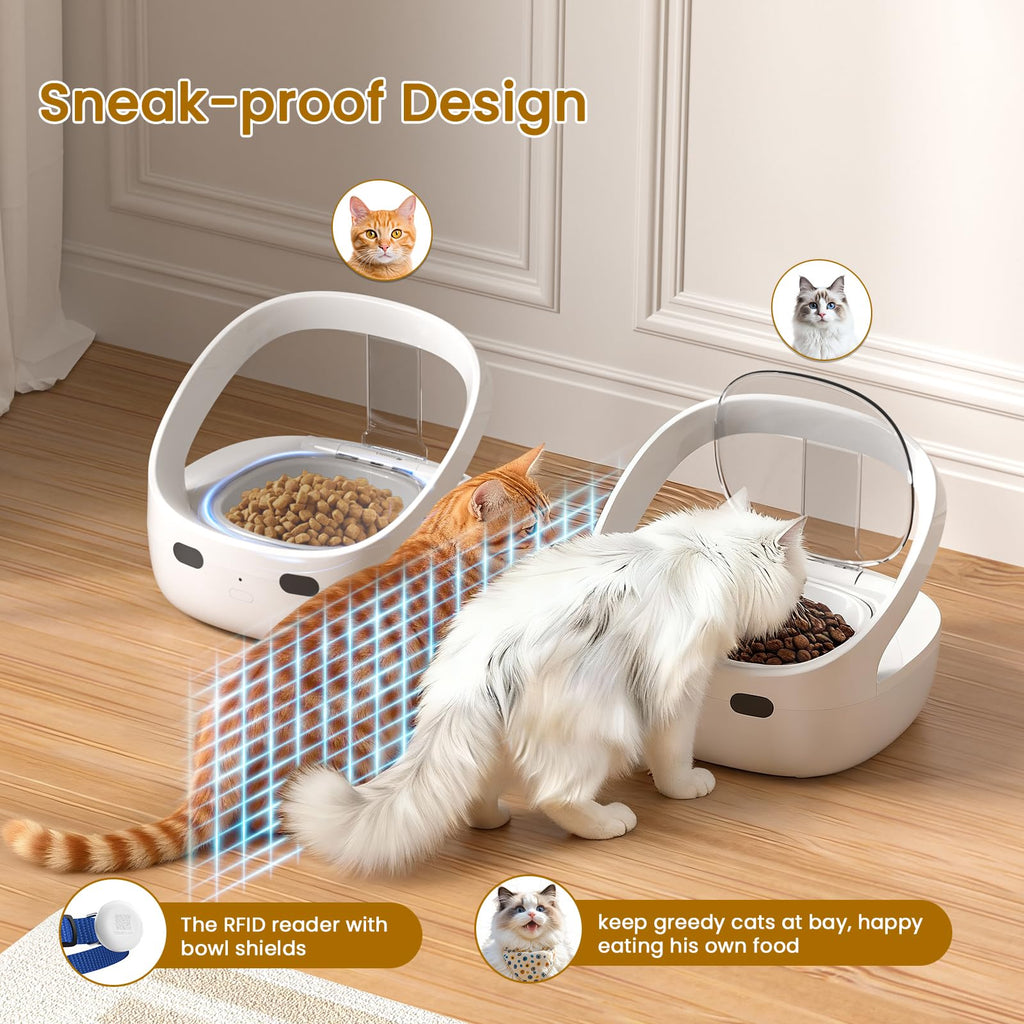 Wet & Dry Food Cat Feeder O471251