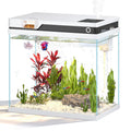 7 Gallon Fish Tank P73671