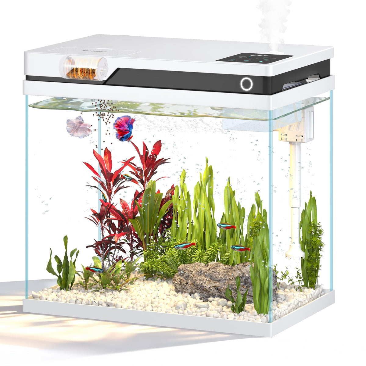 7 Gallon Fish Tank P73671