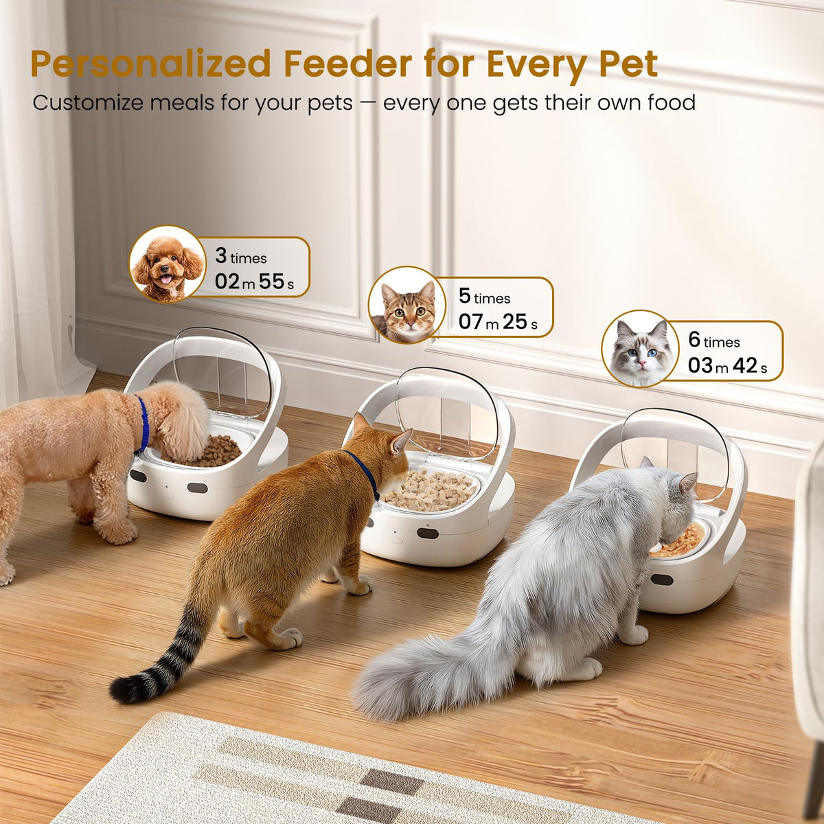Wet & Dry Food Cat Feeder O471251