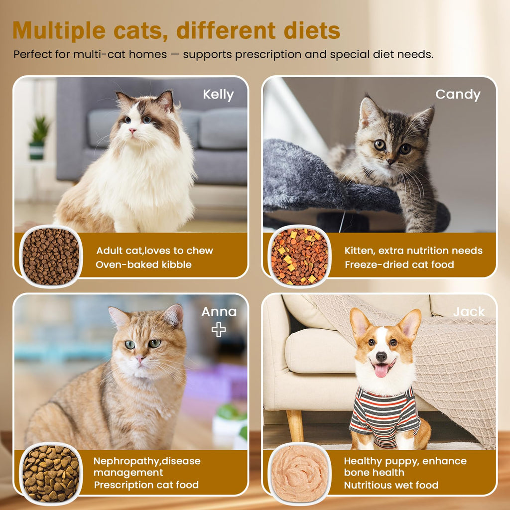 Wet & Dry Food Cat Feeder O471251