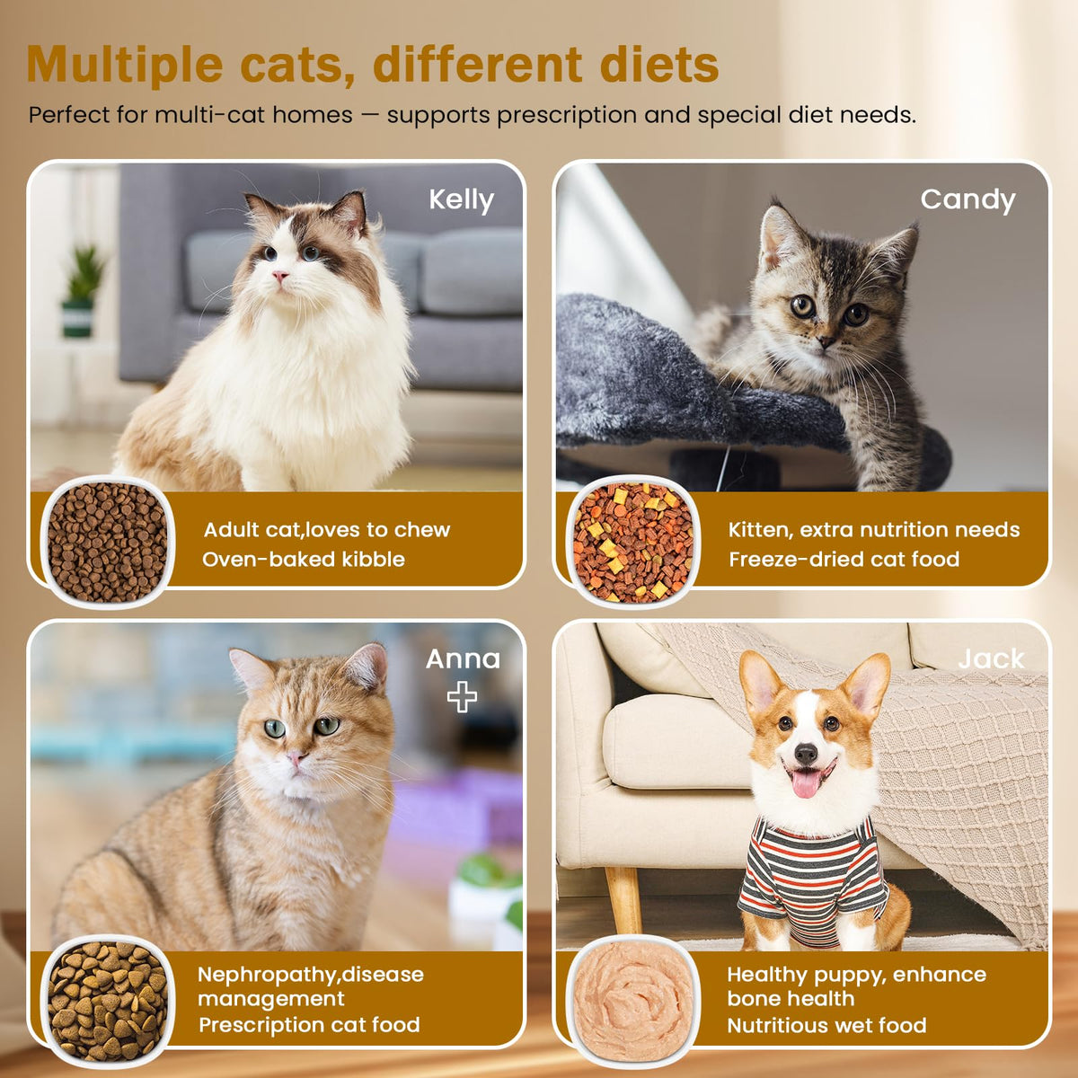Wet & Dry Food Cat Feeder O471251