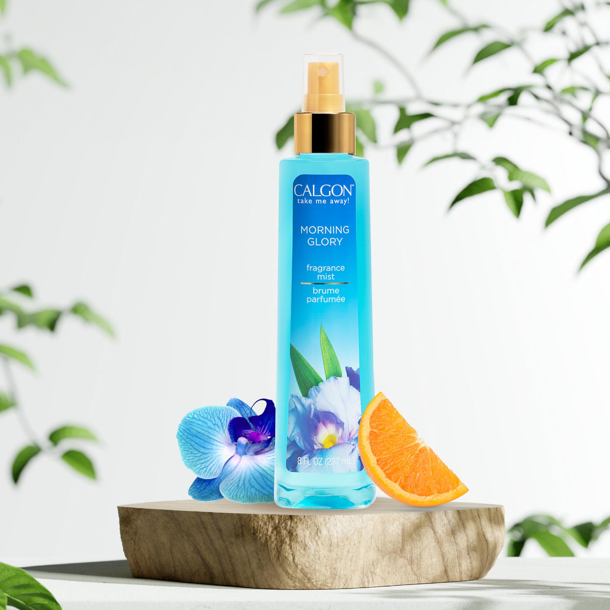 Morning Glory Body Mist 8 fl oz W694