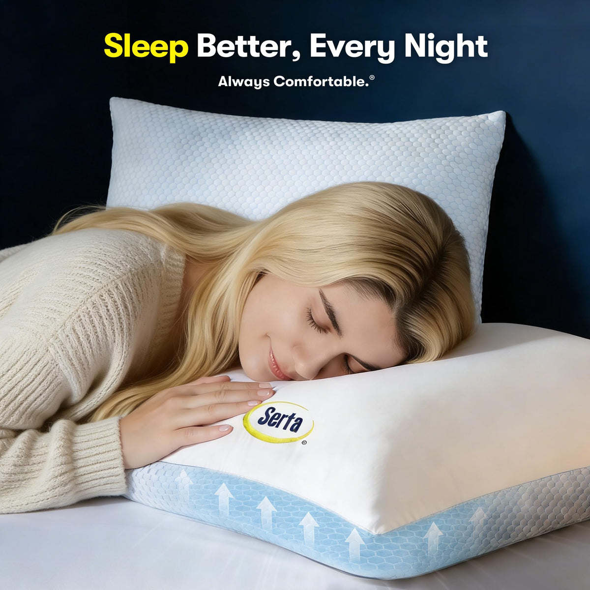 Queen Size Down Alternative Pillows Set of 2 N42406
