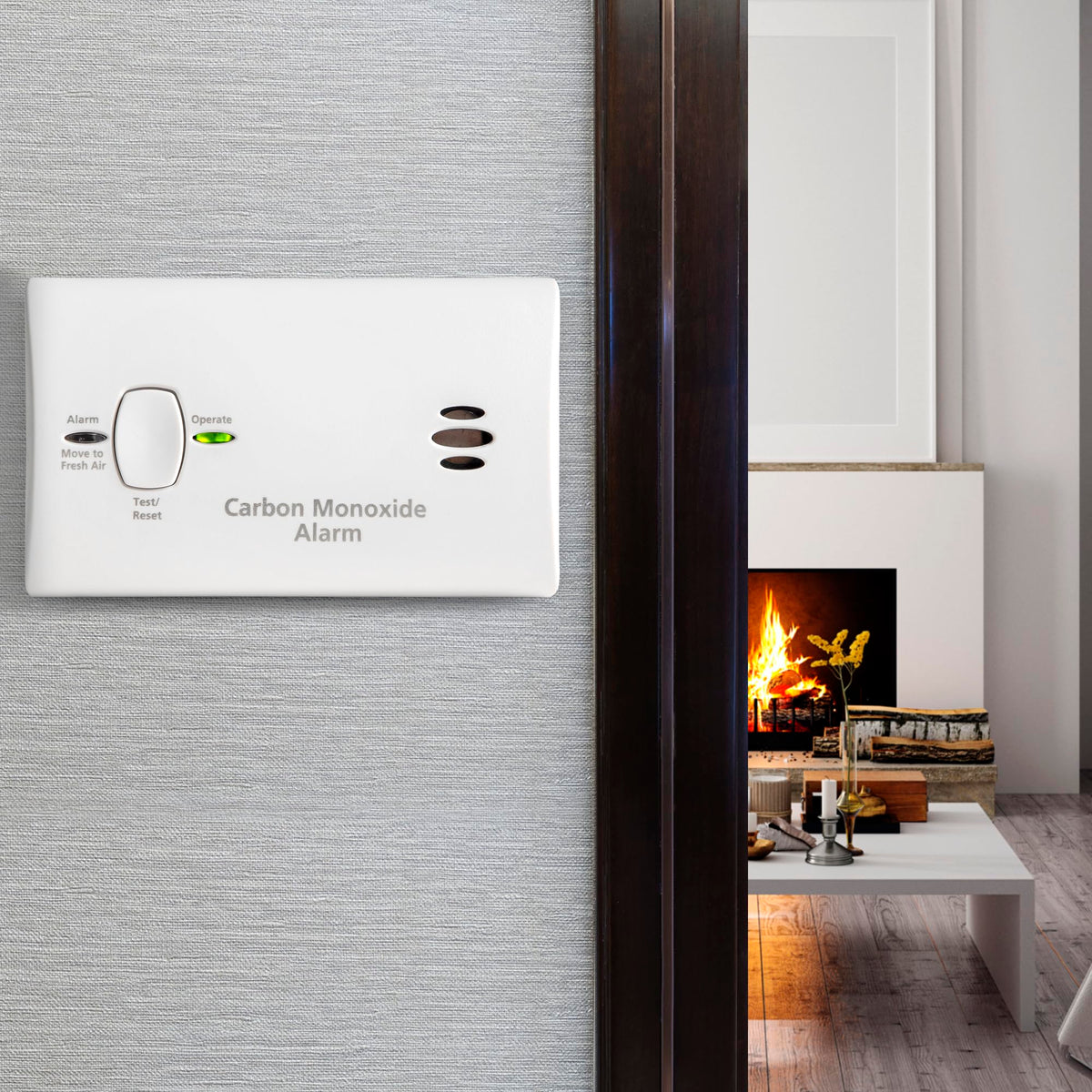 Carbon Monoxide Detector, AA Battery Powered, 85 dB Alarm M5419