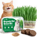 3 Pack Organic Non-GMO Cat Grass Growing Kit P985
