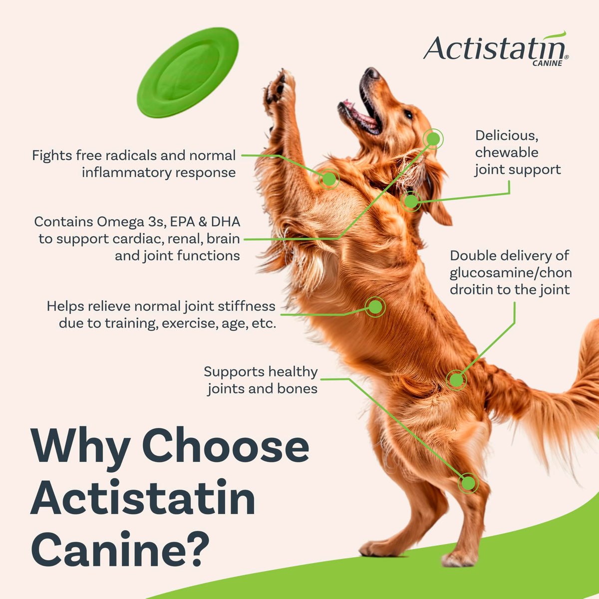 Large Dog Soft Chews, 120ct Joint Supplement D750425
