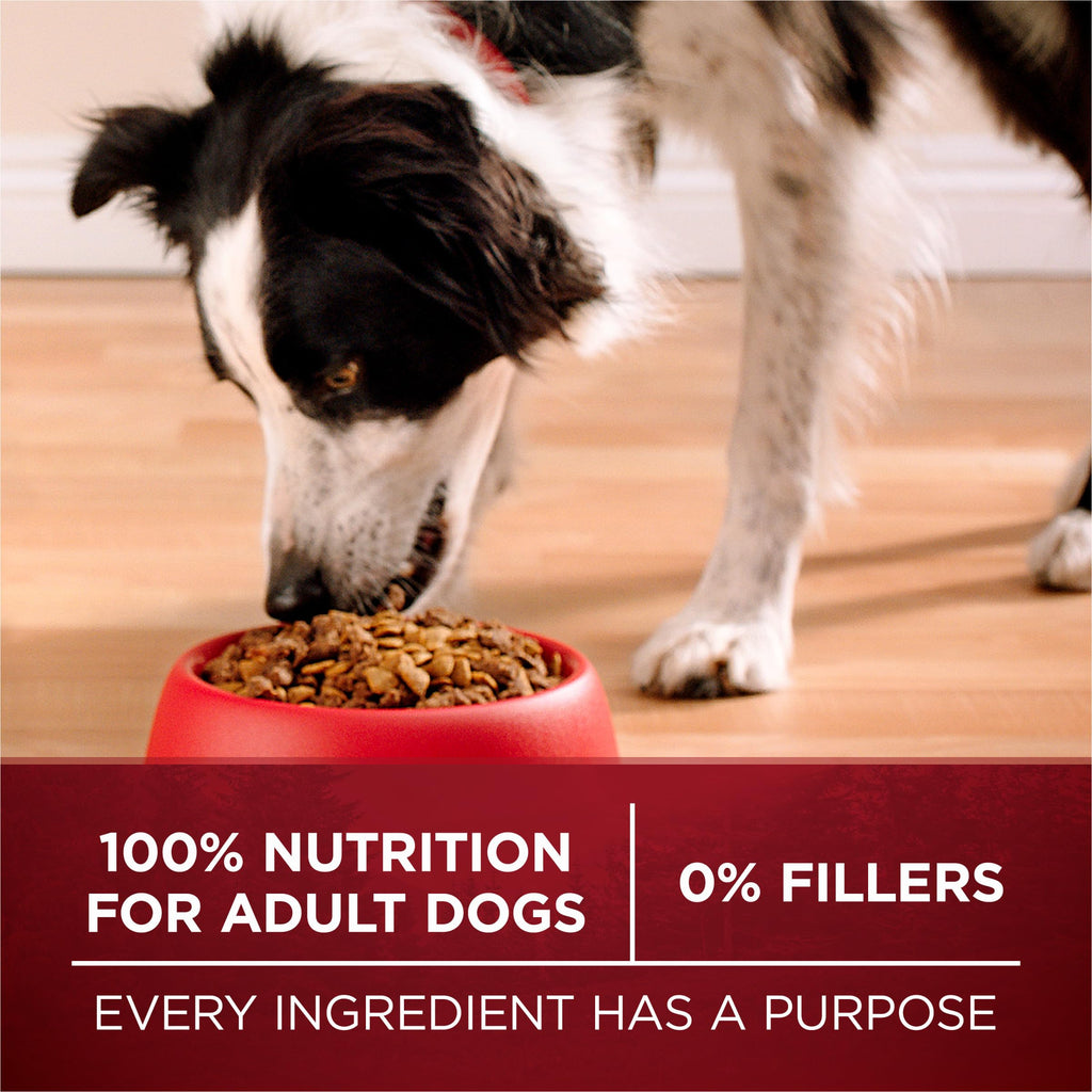 High Protein Chicken & Duck Dog Food K693