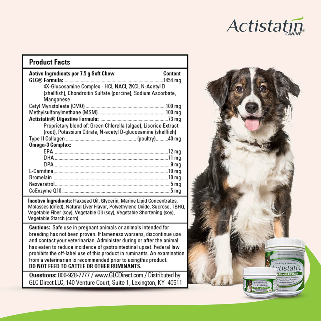 Large Dog Soft Chews, 120ct Joint Supplement D750425