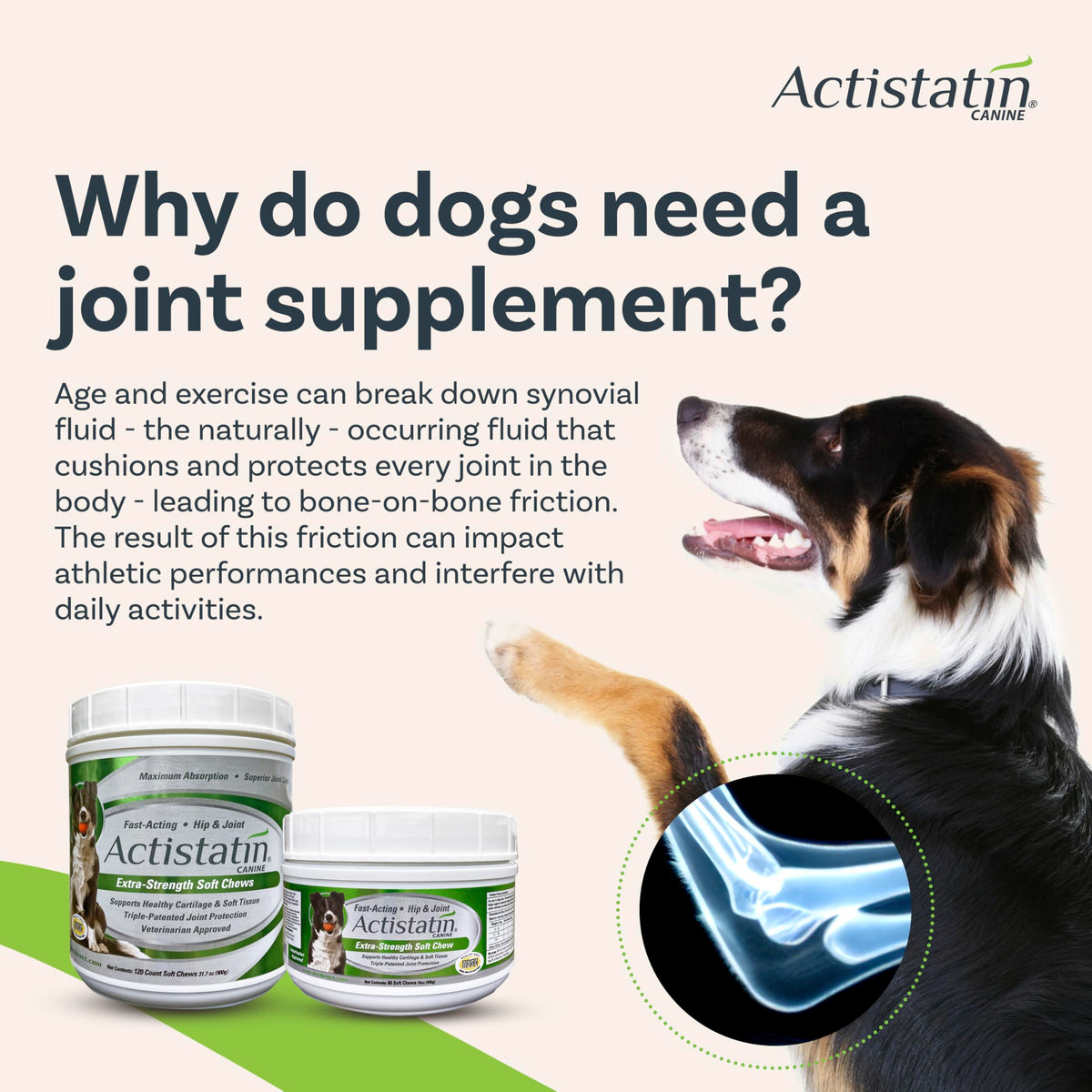 Large Dog Soft Chews, 120ct Joint Supplement D750425