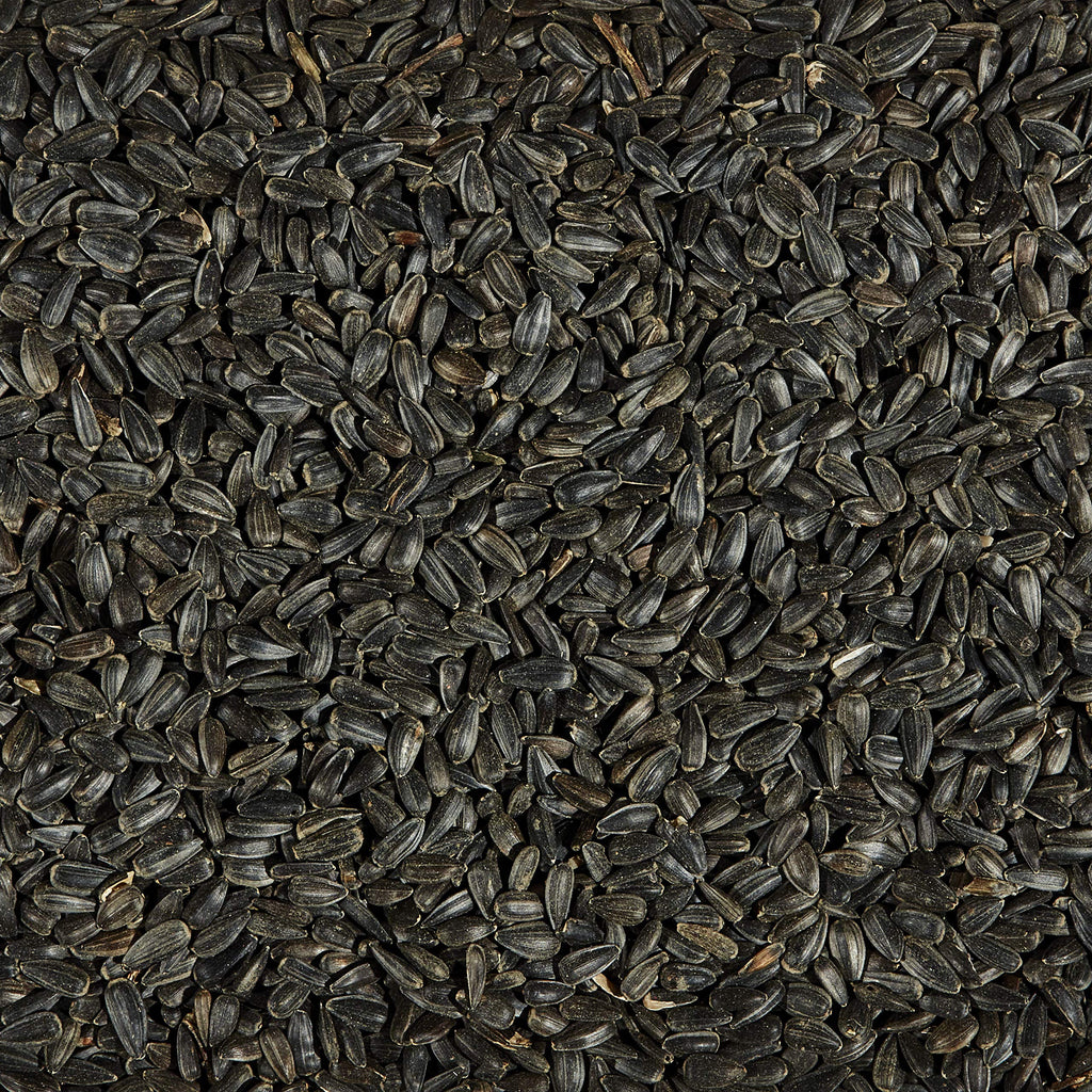 Black Oil Sunflower Wild Bird Food, 20 Pounds X728291
